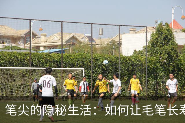 笔尖的隐秘生活：如何让毛笔长寿不老？